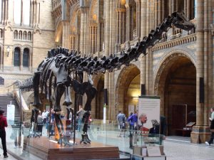 digital signage for museums