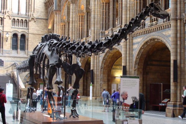 digital signage for museums