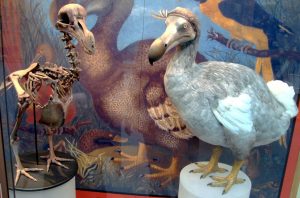 digital signage for museums