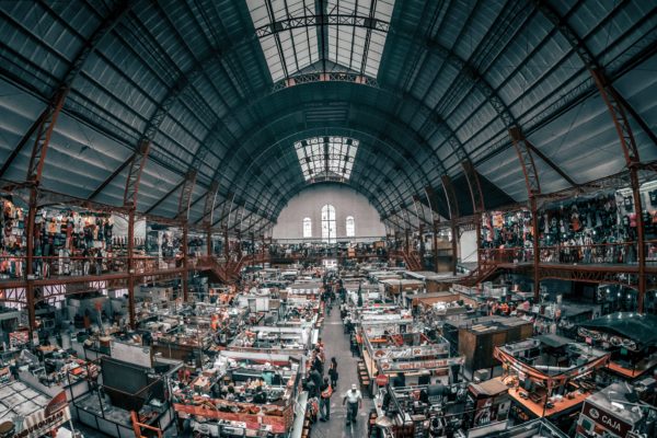 jezael-melgoza-326121-unsplash jezael-melgoza-326121-unsplash